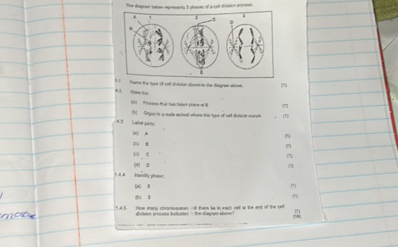The diagram below represents 3 phases of a