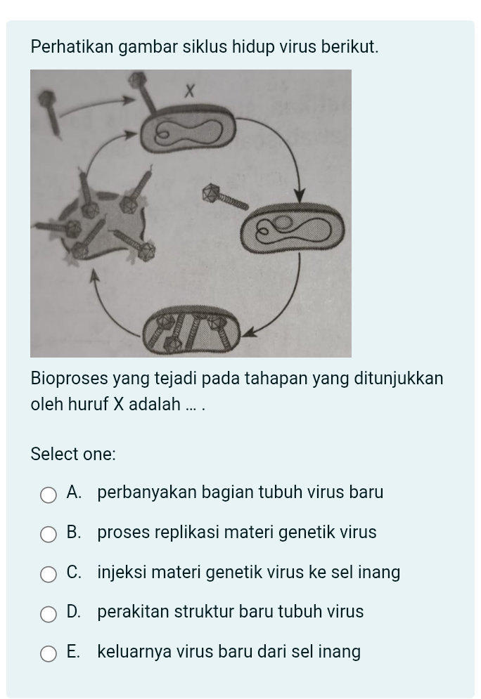 Sel Inang Perhatikan gambar siklus hidup virus