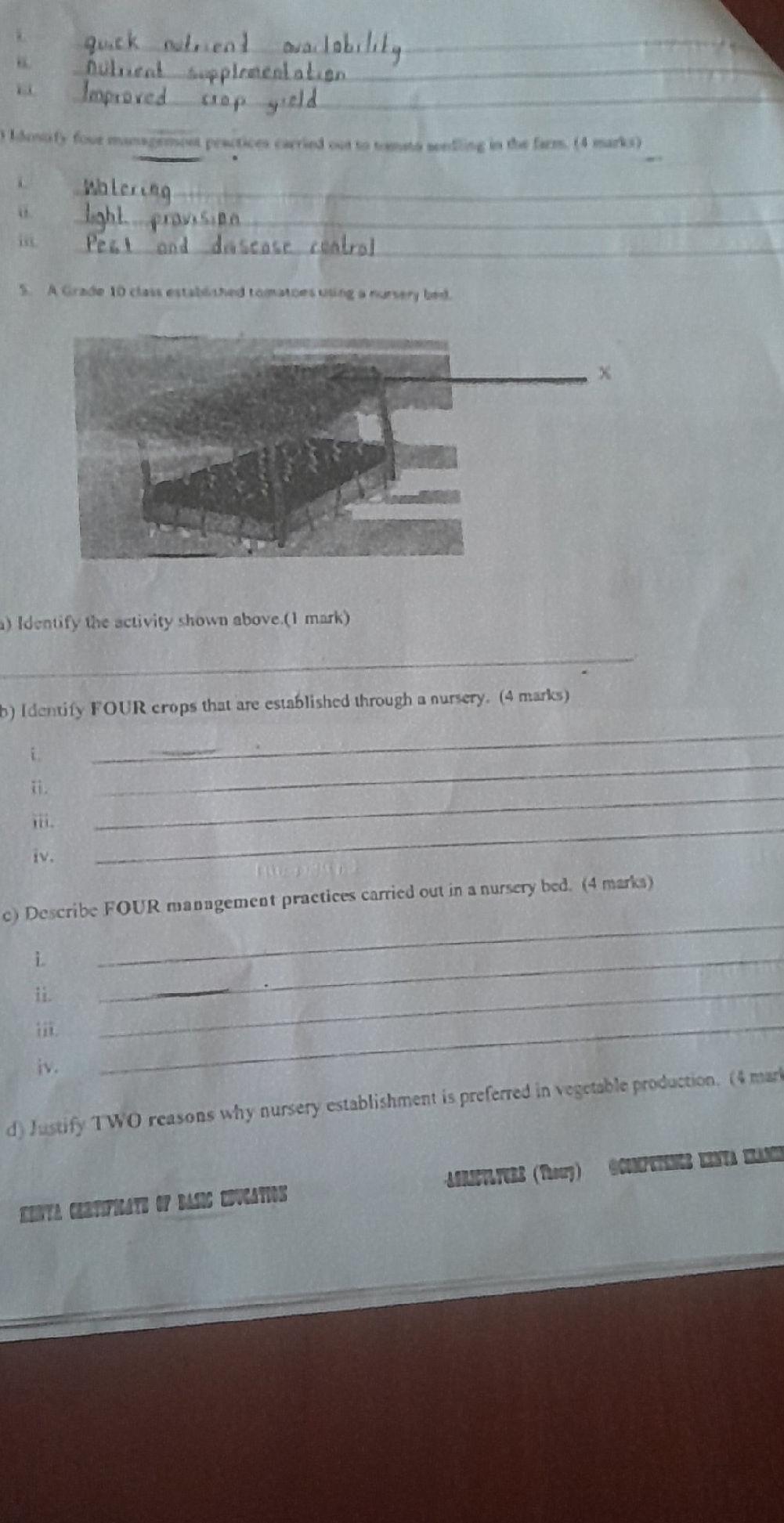 A Grade 10 class established tomatoes using