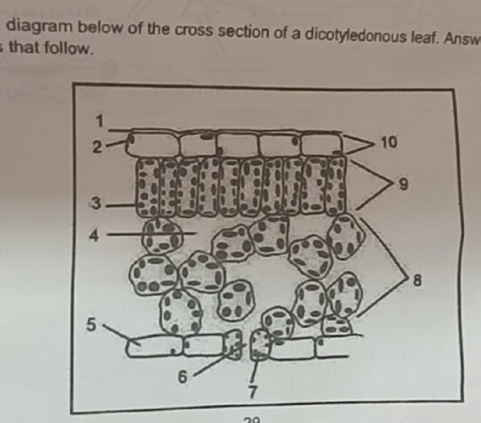 The diagram below of the cross section of a
