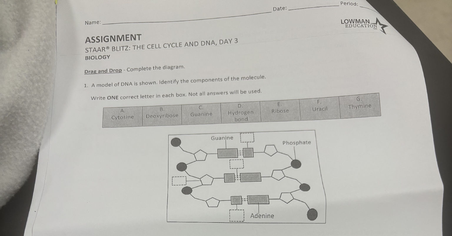 Drag and Drop - Complete the diagram. 1. A
