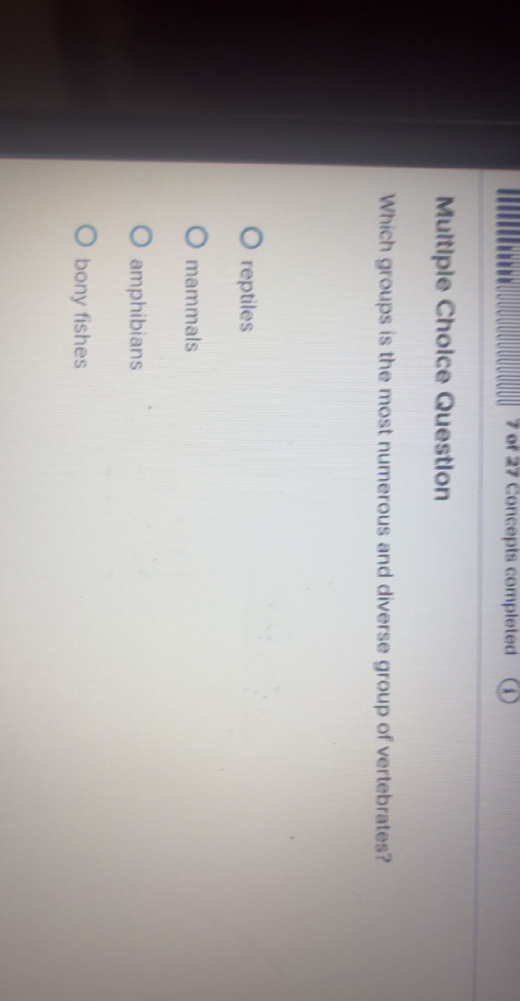 Multiple Choice Question Which groups is the