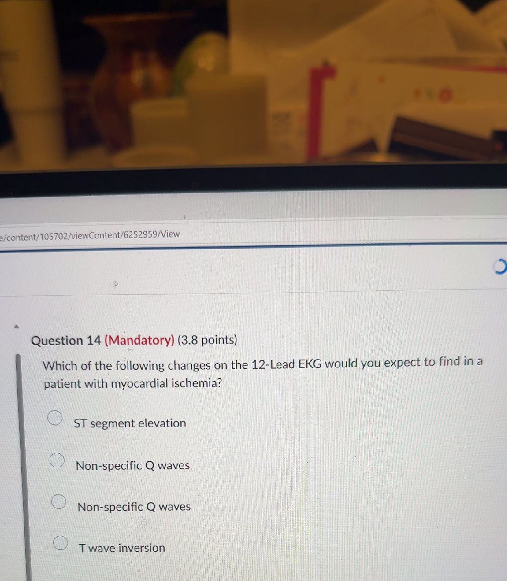 Question 14 (Mandatory) (3.8 points) Which