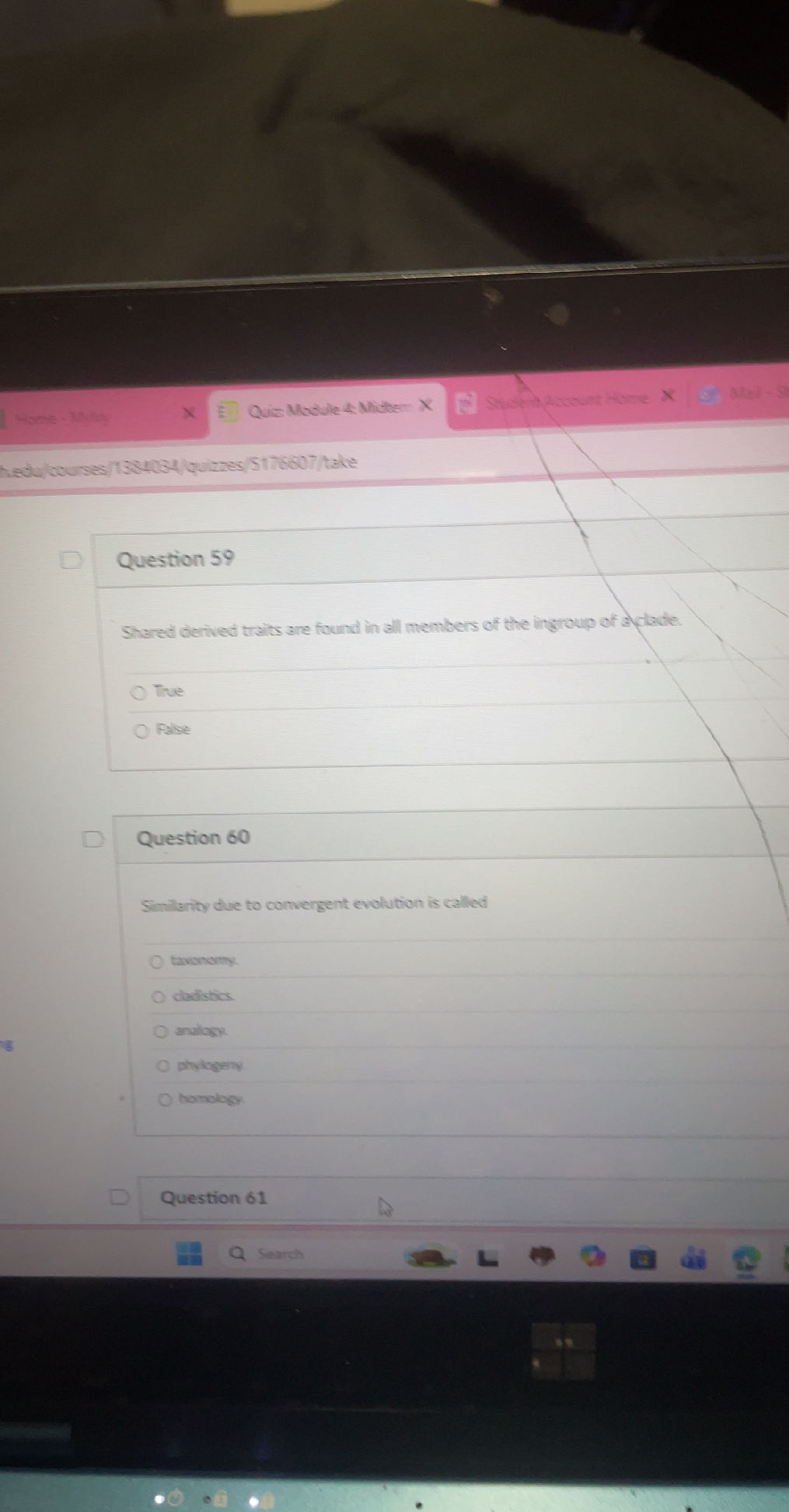 Similarity due to convergent evolution is