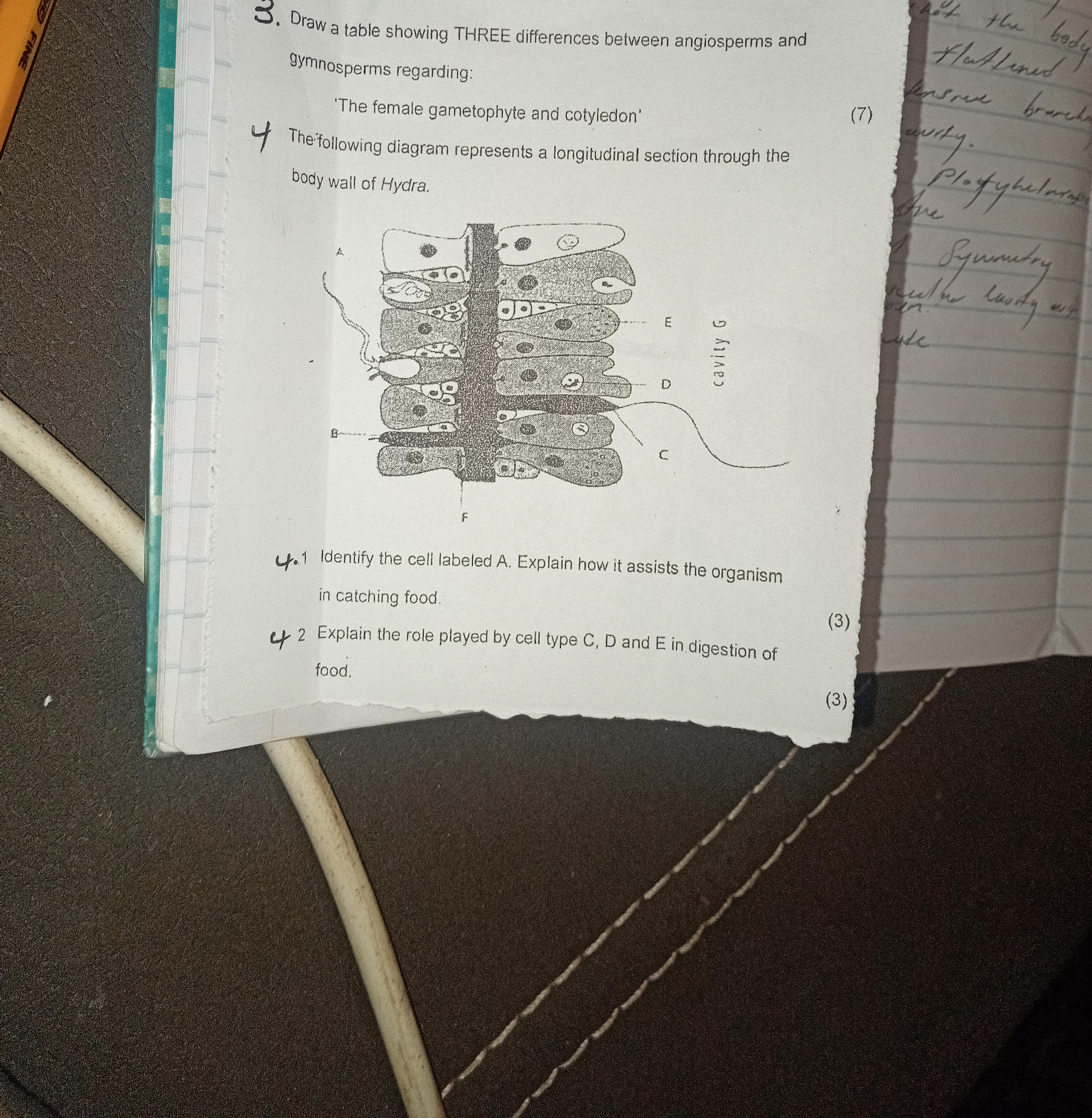 The Following Diagram Represents A The Following Diagram Represents A