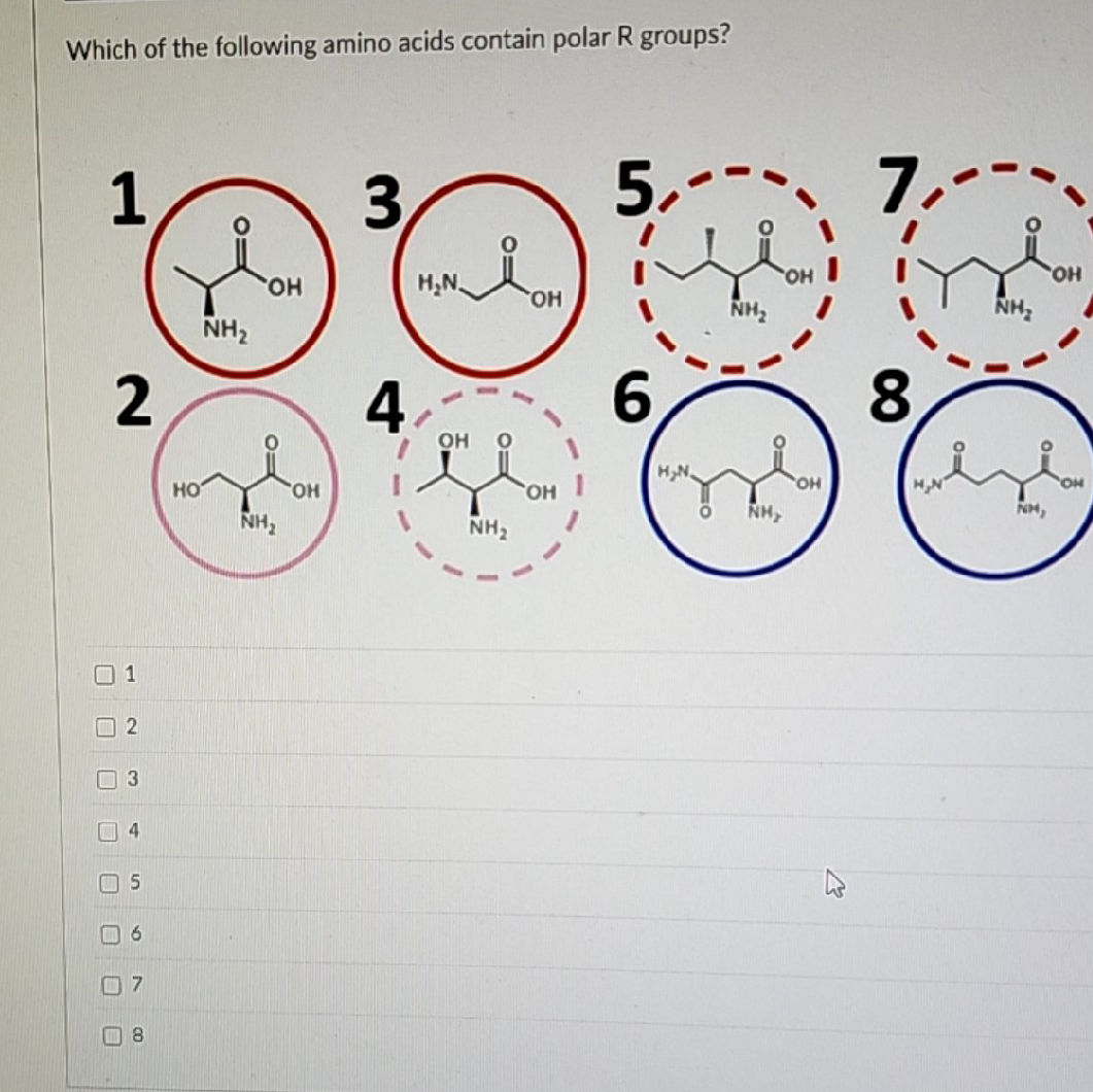 Polar R Groups Example Which of the following amino acids contain