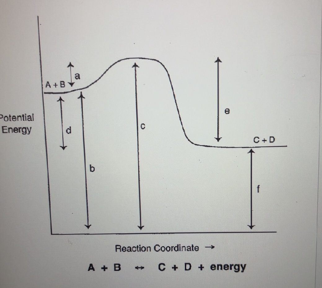 Potential Energy Reaction Coordinate A + B