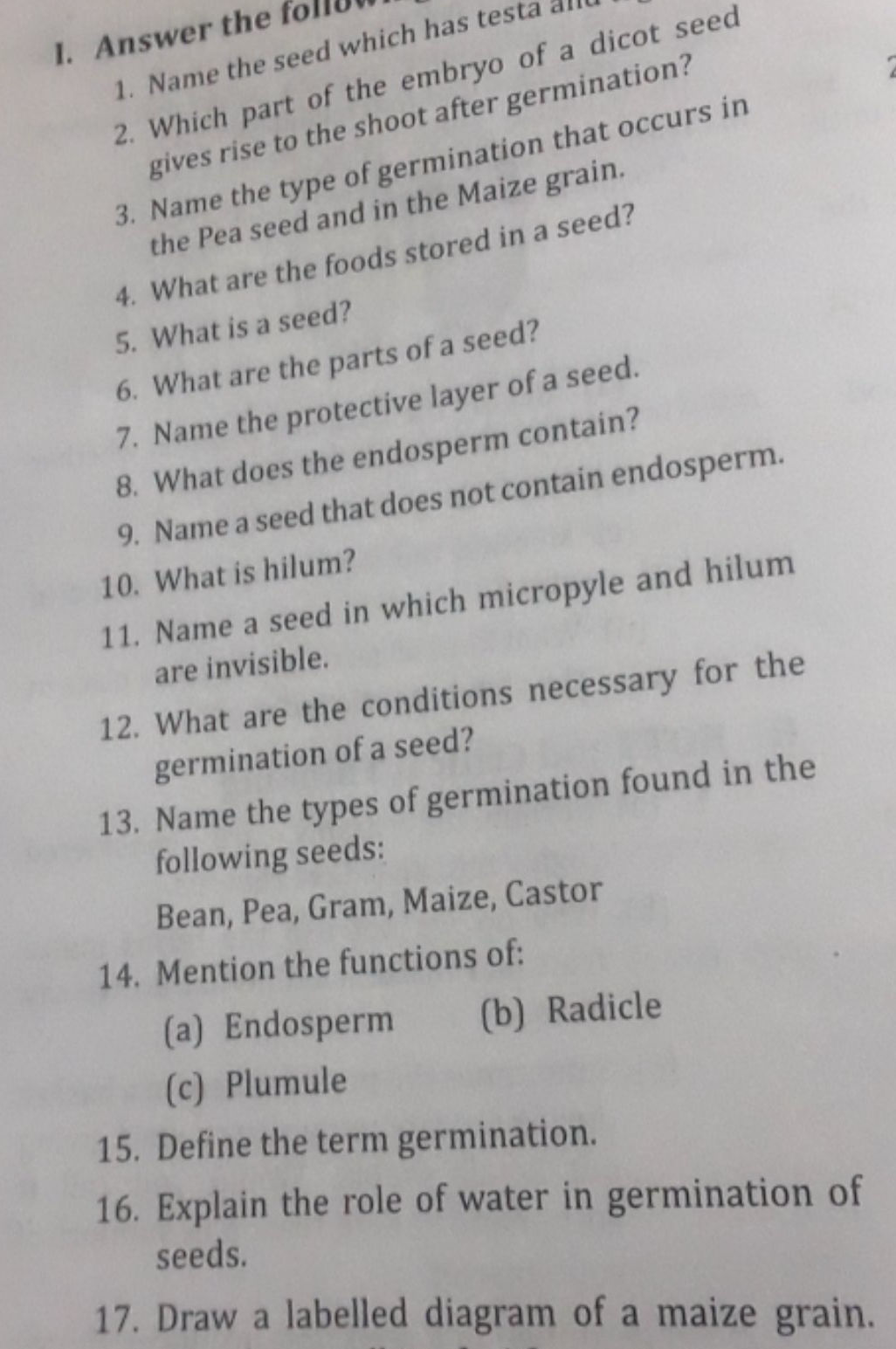 Draw a labelled diagram of a maize grain.