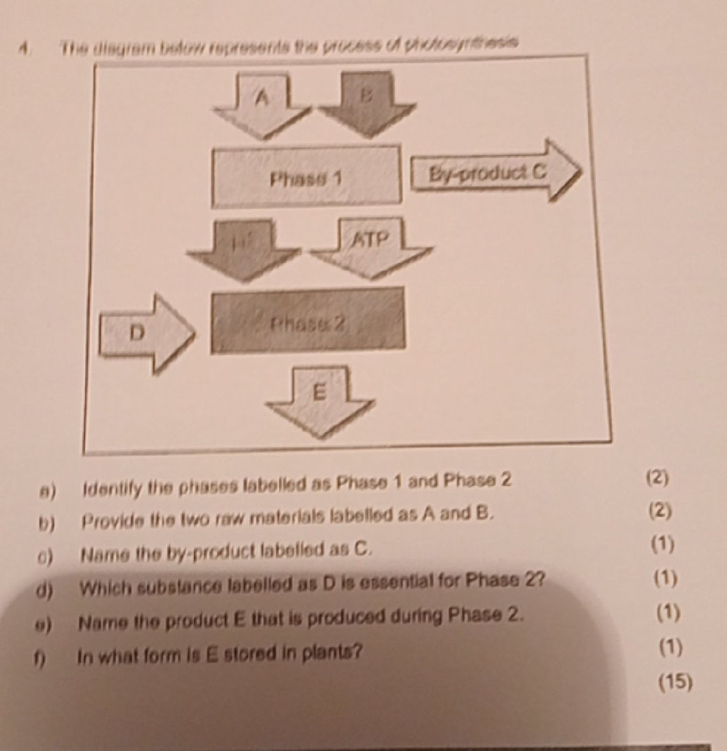 The diagram below represents the process of