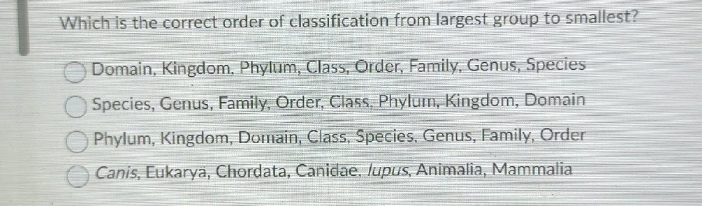 Which is the correct order of classification