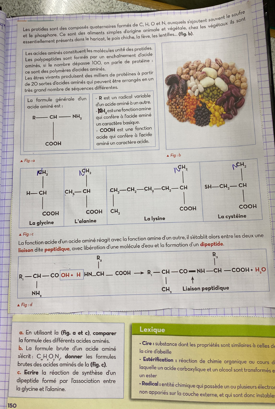 Portides Les protides sont des composés quaternaires | StudyX