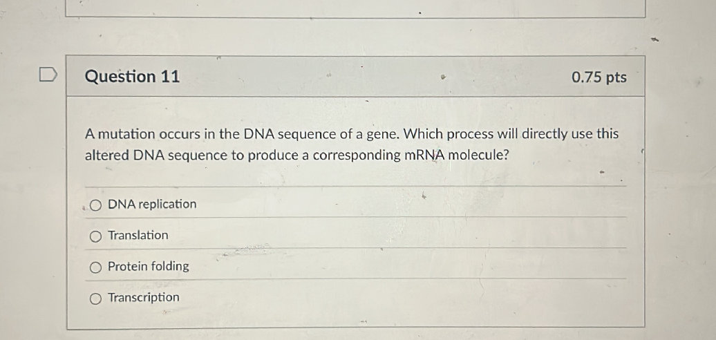 A mutation occurs in the DNA sequence of a | StudyX