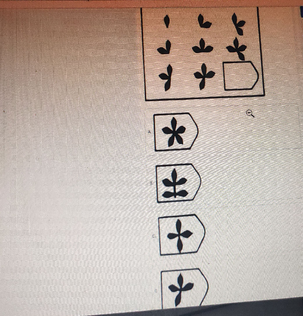 Identify the missing pattern from the | StudyX