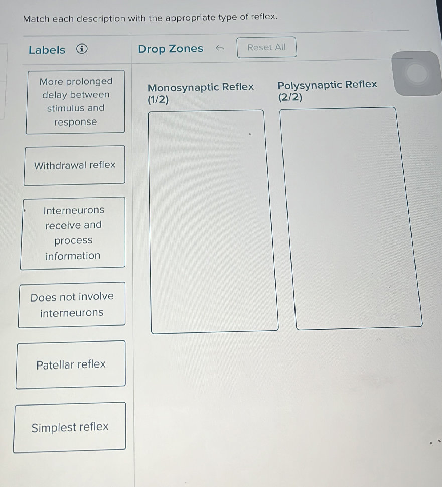 Reflex Labels Values Match each description with the appropriate | StudyX