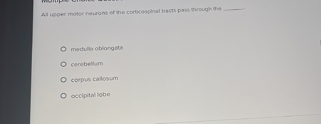 All upper motor neurons of the corticospinal | StudyX
