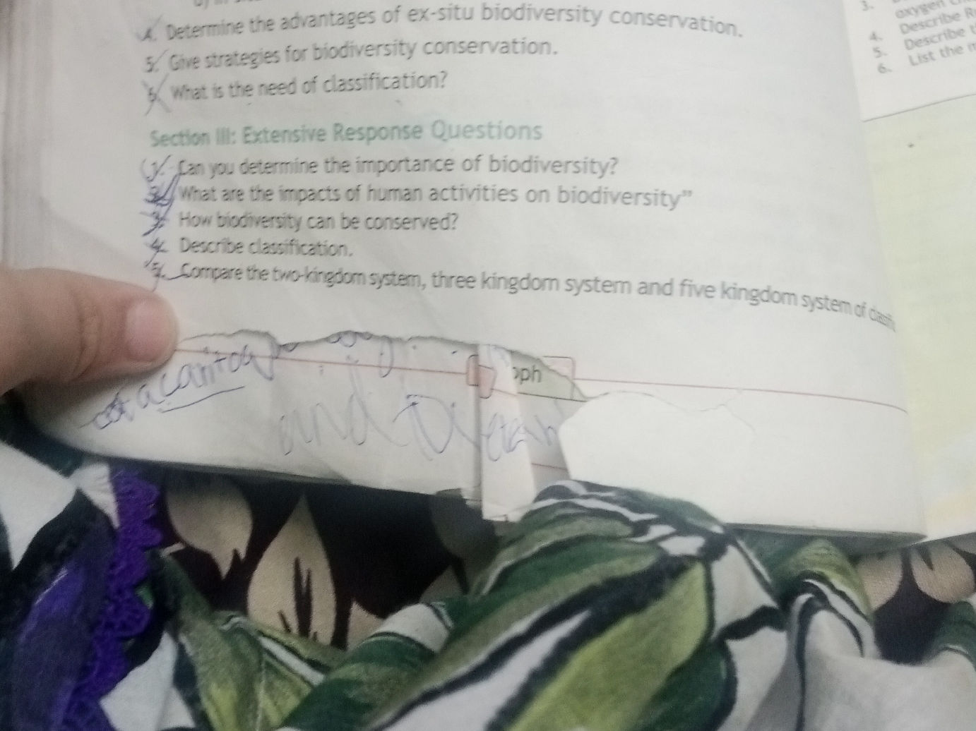 Section III: Extensive Response Questions 1. | StudyX