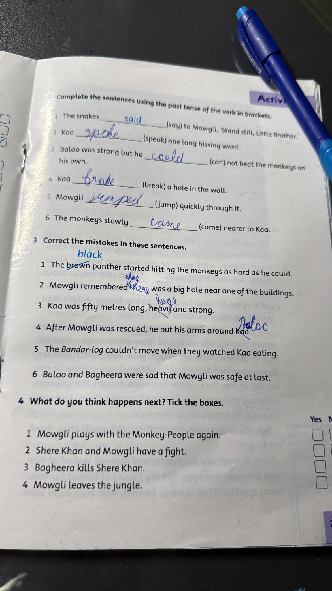 Complete the sentences using the past tense | StudyX