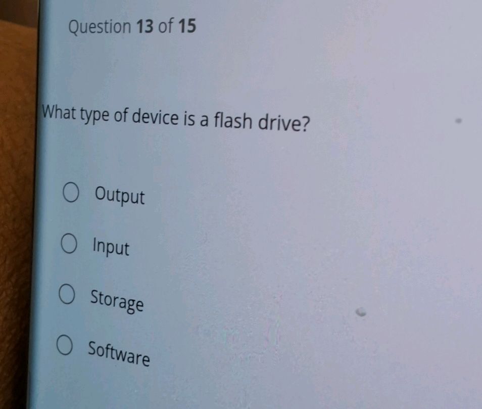 What type of device is a flash drive? | StudyX
