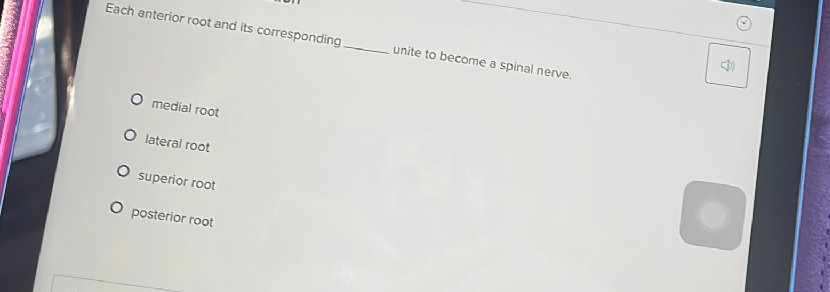 Each anterior root and its corresponding | StudyX