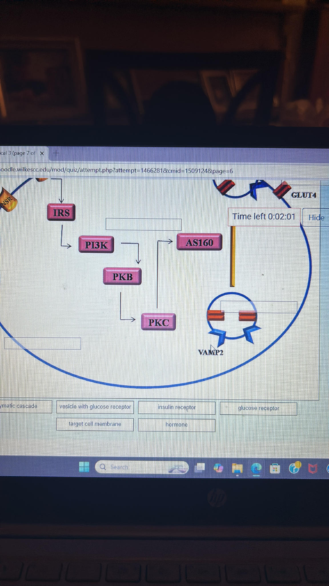 Identify the components of the signaling | StudyX