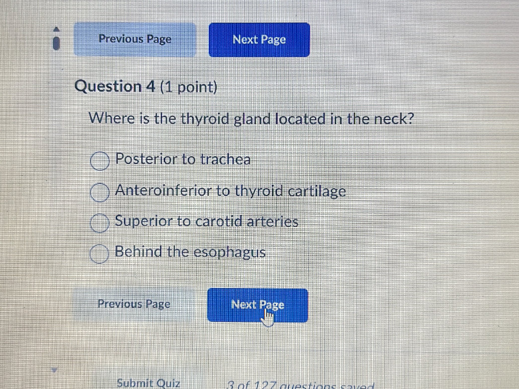 Where is the thyroid gland located in the | StudyX