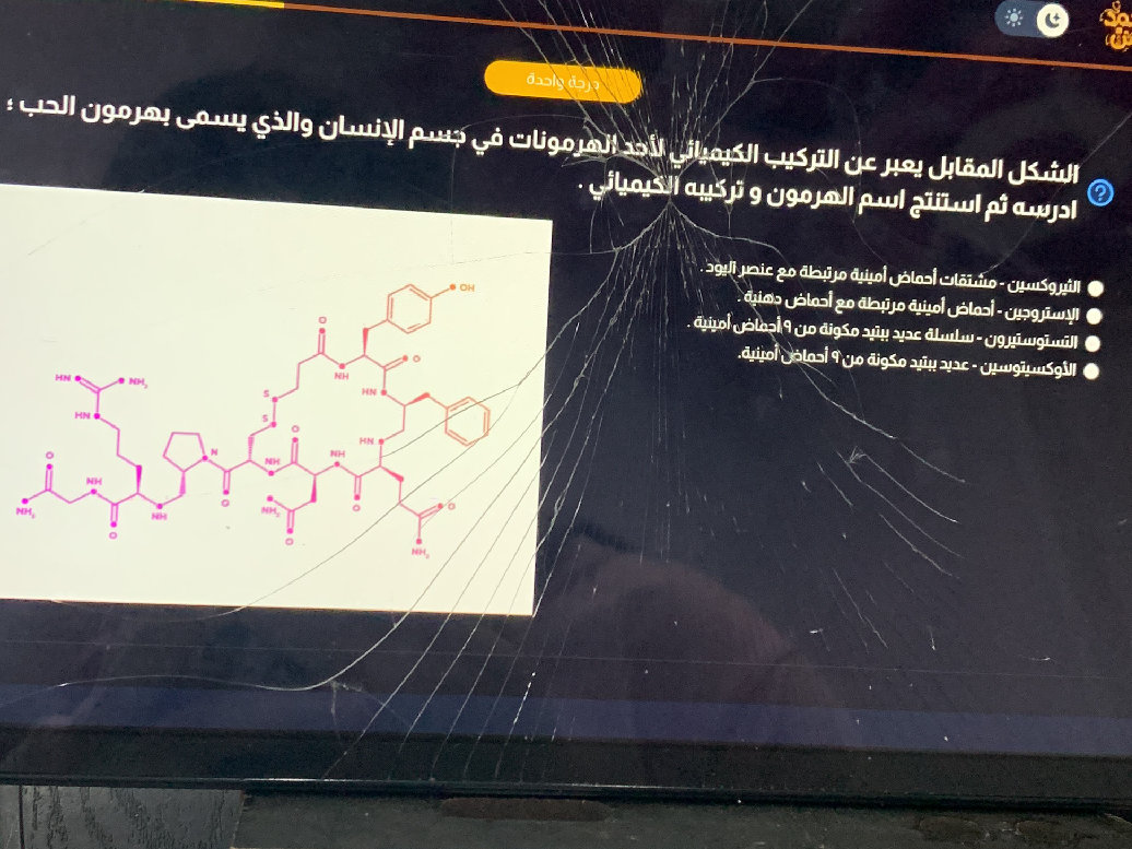 studyx