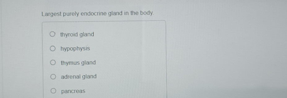Largest purely endocrine gland in the body. | StudyX