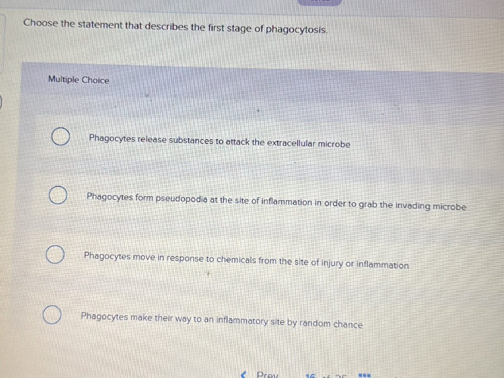 Choose the statement that describes the | StudyX