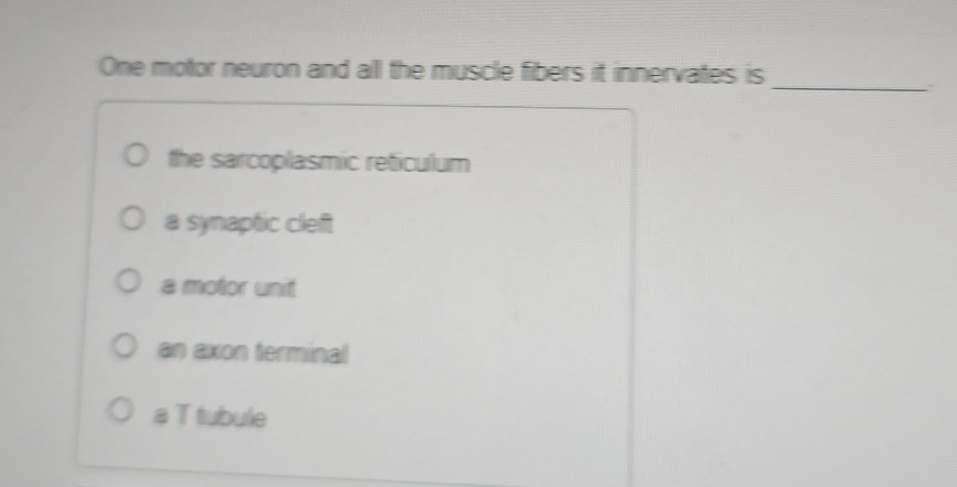 One motor neuron and all the muscle fibers | StudyX