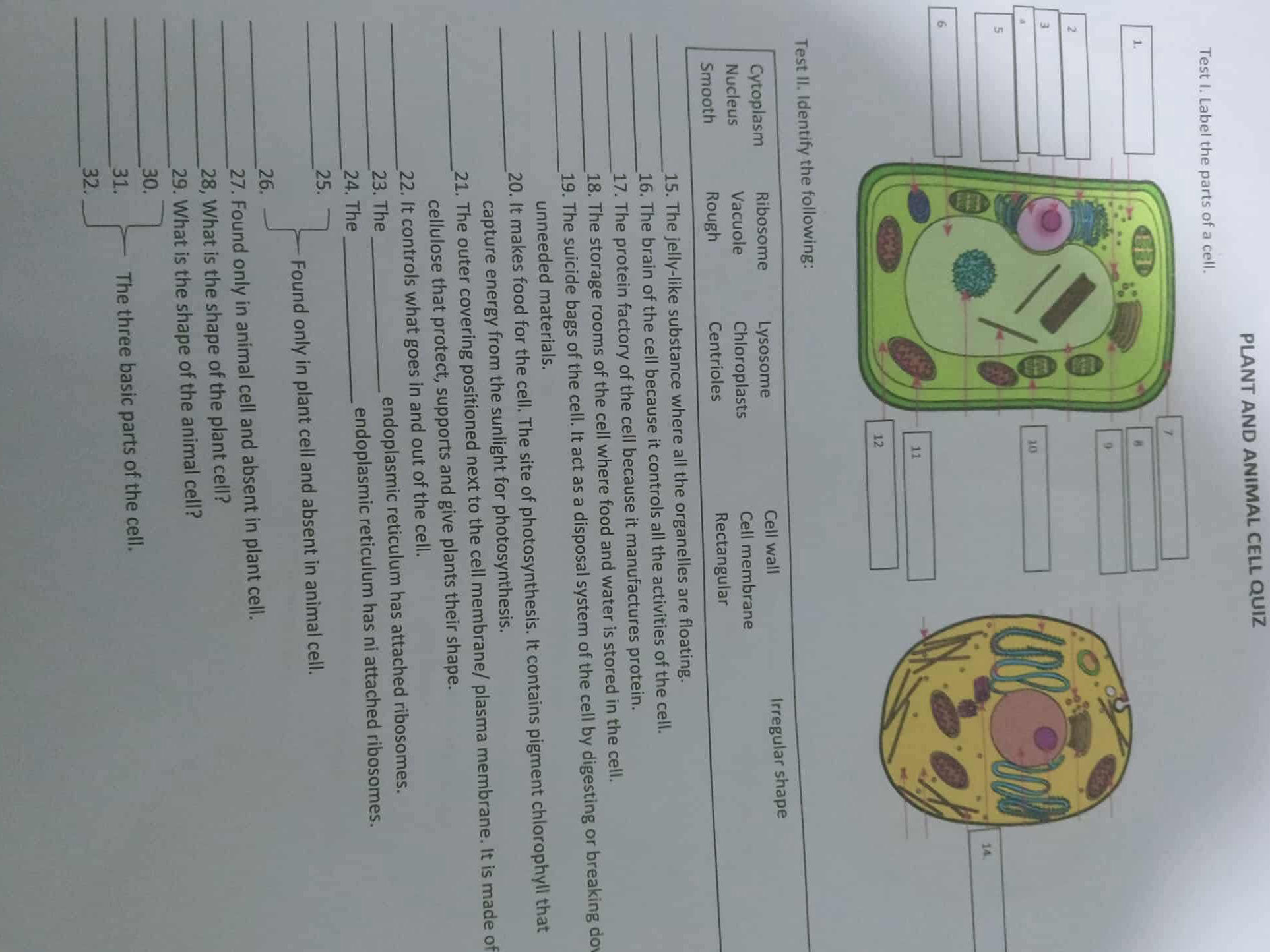 Test I. Label the parts of a cell. Test II. | StudyX