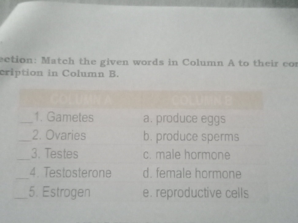 Match the given words in Column A to their | StudyX