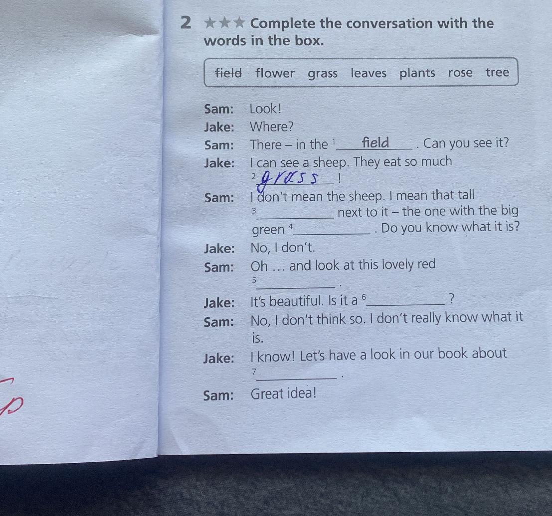 Complete the conversation with the words in | StudyX