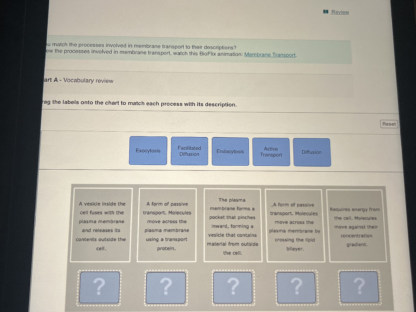 rag the labels onto the chart to match each | StudyX