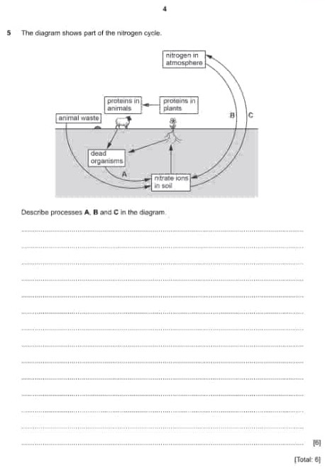 The diagram shows part of the nitrogen