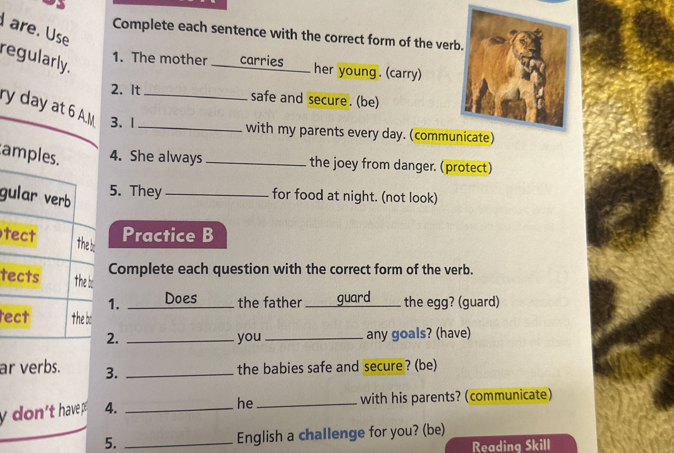 Complete each sentence with the correct form | StudyX