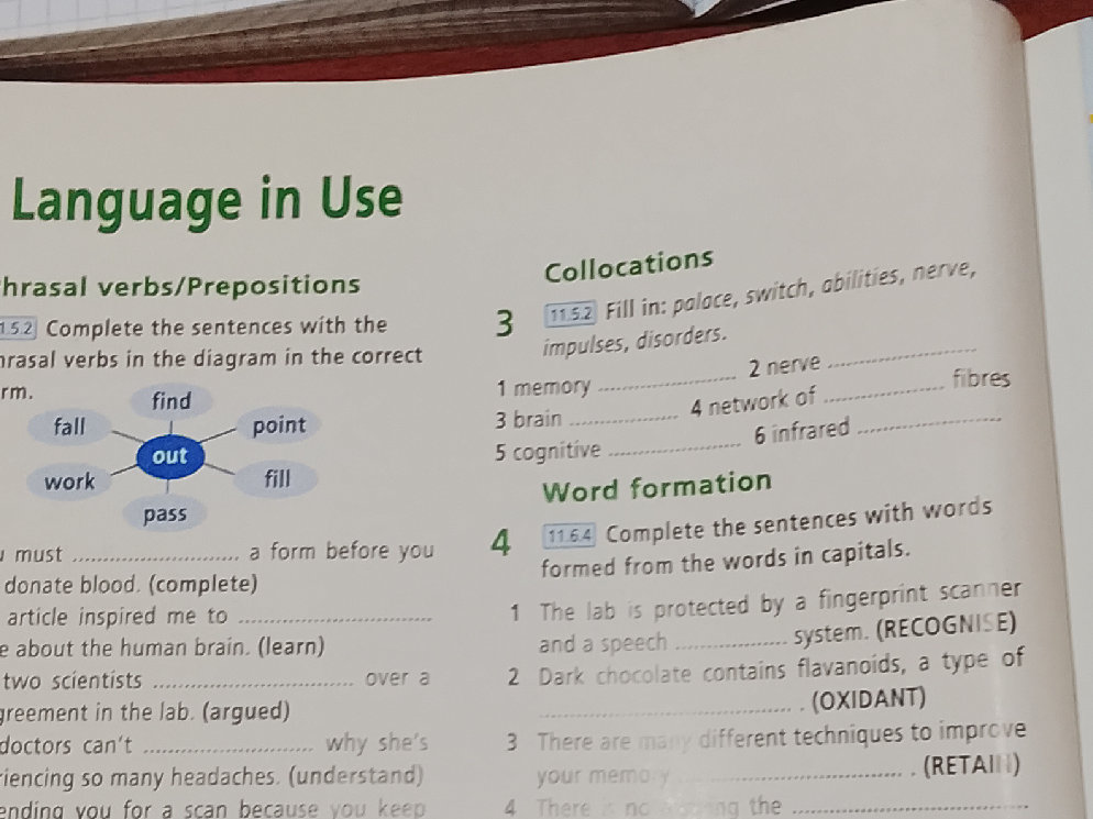 Complete the sentences with the phrasal | StudyX