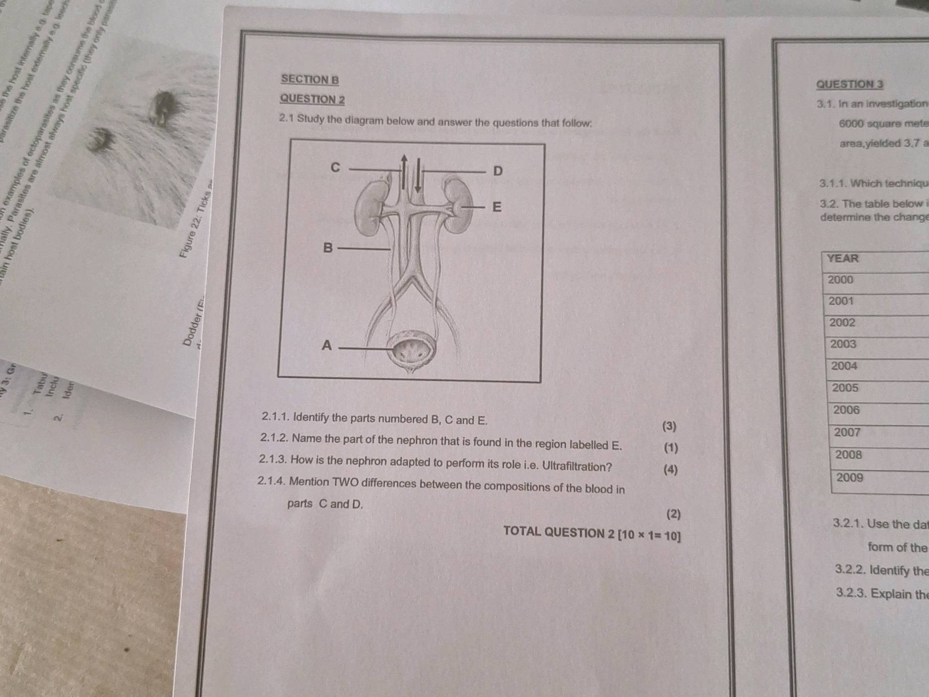Urinary System Answer 2. 1 Study the diagram below and answer the | StudyX