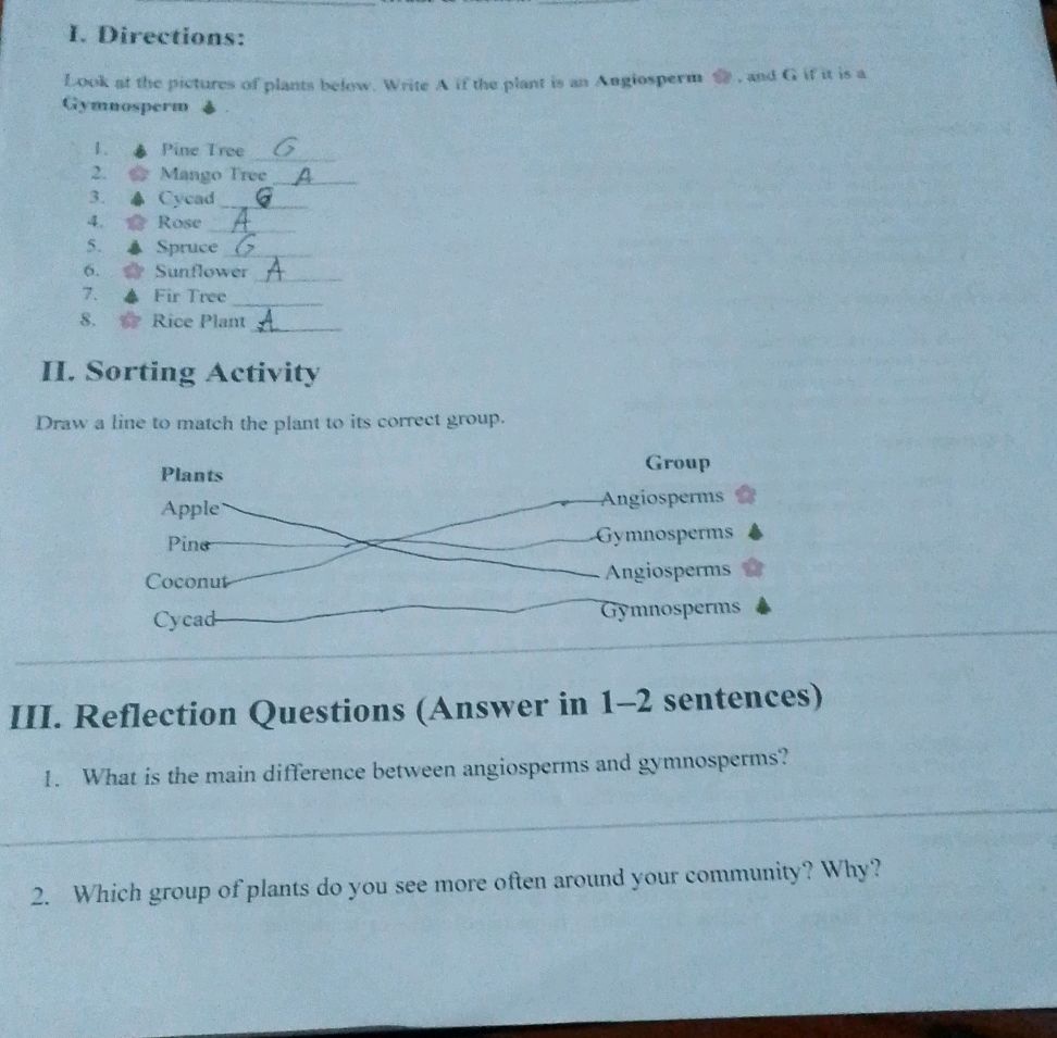 Plant Study Direction I. Directions: Look at the pictures of | StudyX