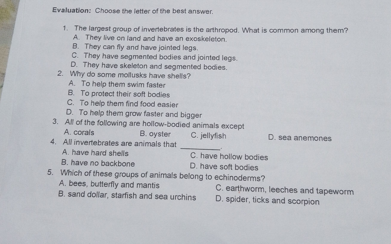 Shell Backbone Animal All invertebrates are animals that _______. | StudyX