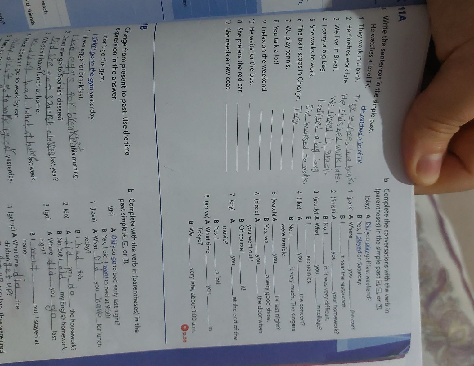 11A Write the sentences in the simple past. | StudyX