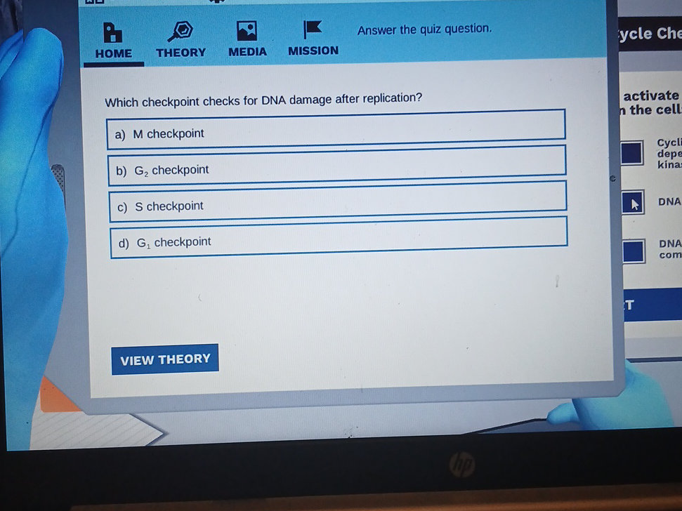 Which checkpoint checks for DNA damage after | StudyX