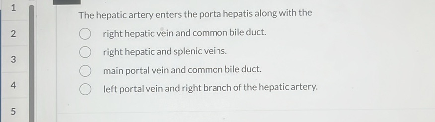The hepatic artery enters the porta hepatis | StudyX