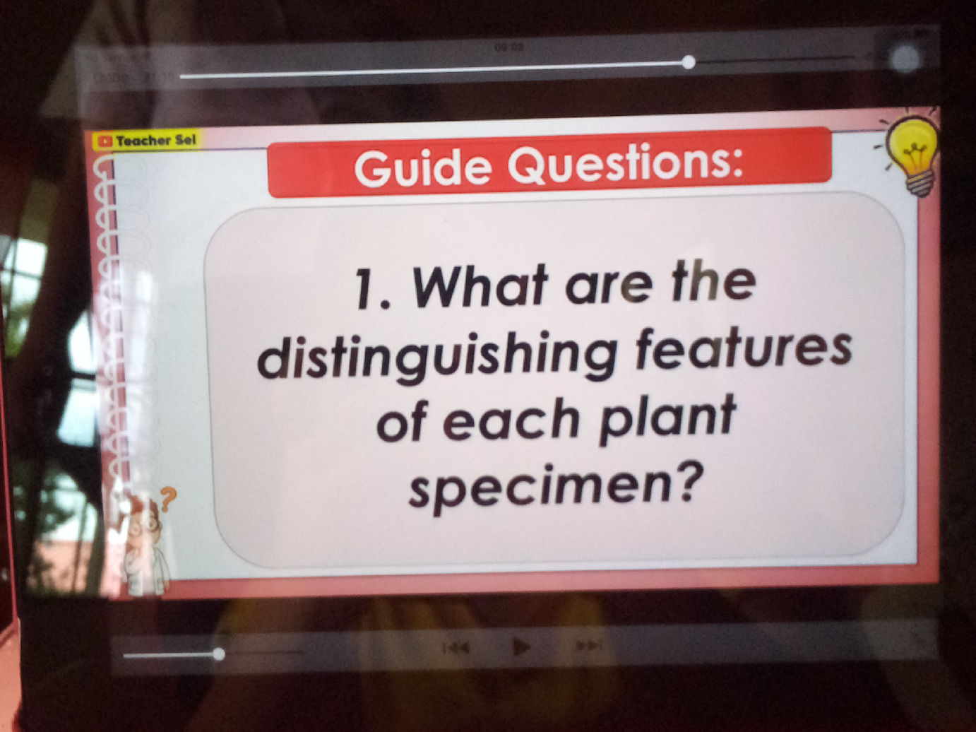 What are the distinguishing features of each | StudyX