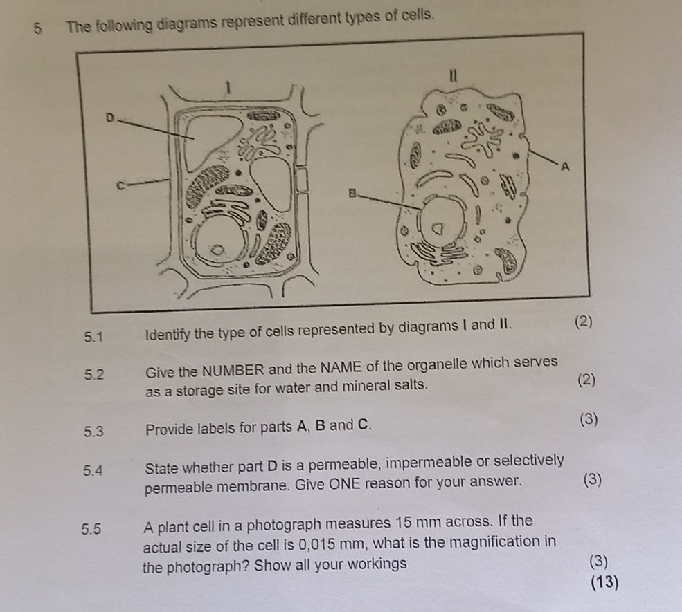 5 The following diagrams represent different | StudyX
