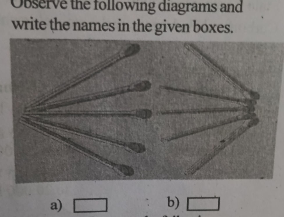 Observe the following diagrams and write the | StudyX