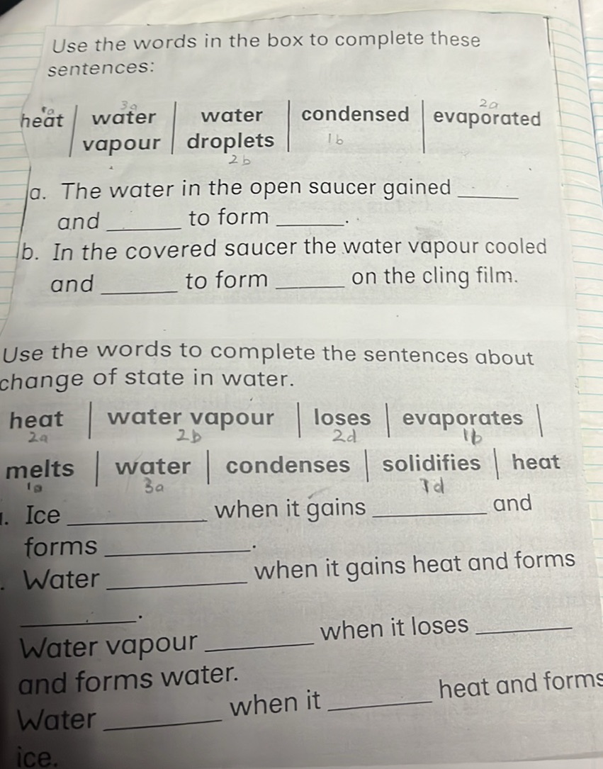 Use the words in the box to complete these | StudyX