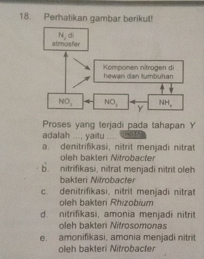 Perhatikan gambar berikut! ``` N_2 { di } | StudyX