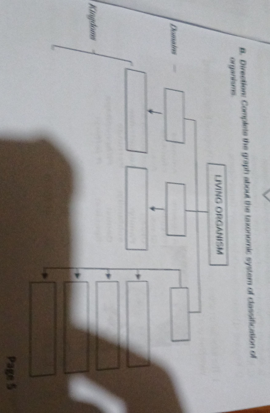 B. Direction: Complete the graph about the | StudyX