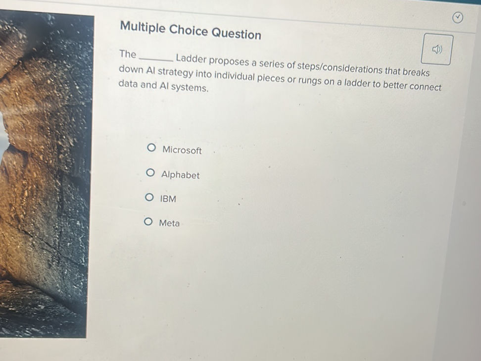 Multiple Choice Question The ______ Ladder | StudyX
