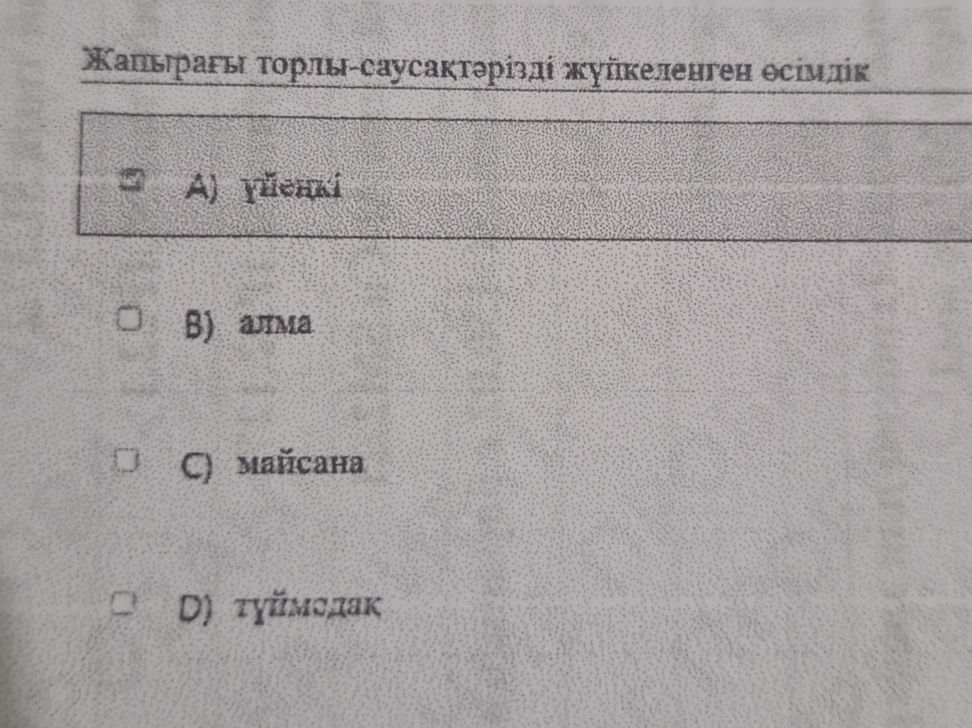 StudyX studyx